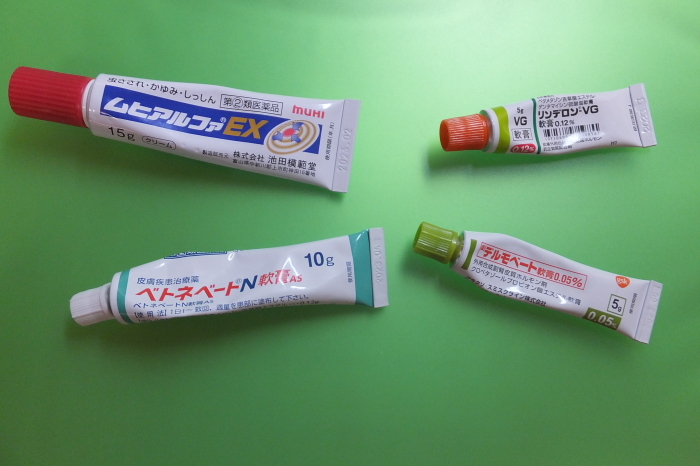 アシナガバチに刺された Sippo のネイチャー探索記 2 アシナガバチに刺された Sippo のネイチャー探索記 2
