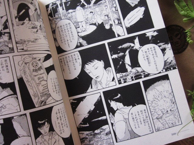 鳩山郁子ブログ「鳩小屋通信」/ Ikuko Hatoyama Official Blog.