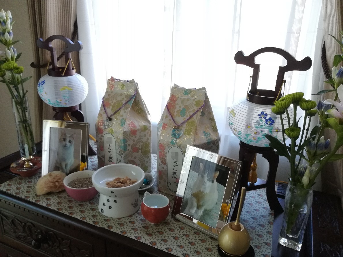 スグルは新盆_e0171874_13294252.jpg