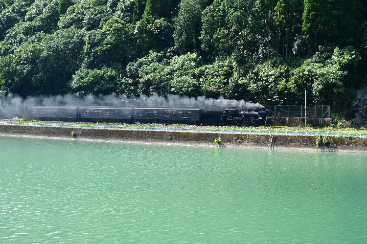 SL人吉＠球磨川 : Bird island
