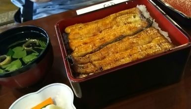 たまに無性に食べたくなるもの もったいない から始める上質生活