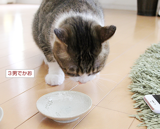 お盆のよろこび_a0389088_01402203.jpg
