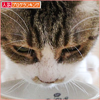 お盆のよろこび_a0389088_01402320.jpg