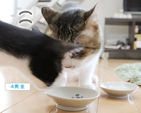 お盆のよろこび_a0389088_01402381.jpg