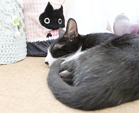 お盆のよろこび_a0389088_01402387.jpg