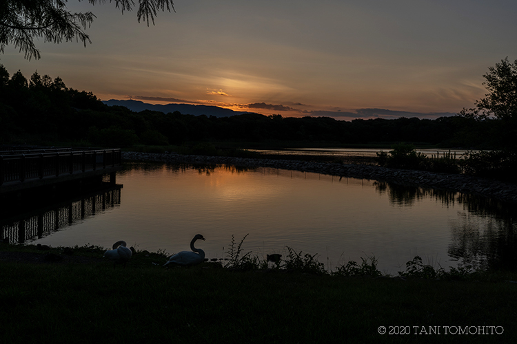 湖畔の夕景_d0039493_20380998.jpg