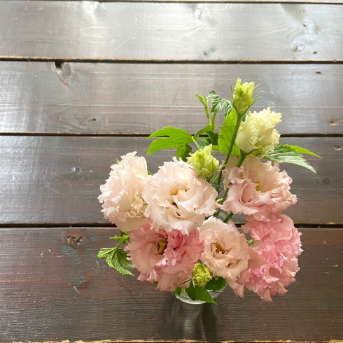 8月のshopのお知らせ_b0018004_11414964.jpeg
