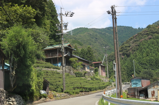 突然決めて出発！大井川を登って自然に触れる_f0354014_14422812.jpg