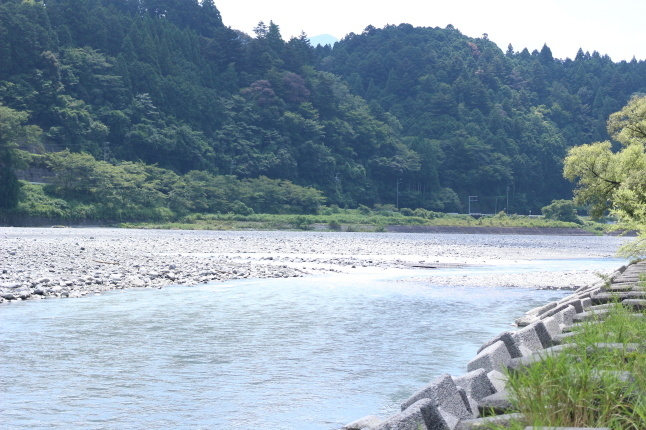 突然決めて出発！大井川を登って自然に触れる_f0354014_14440302.jpg
