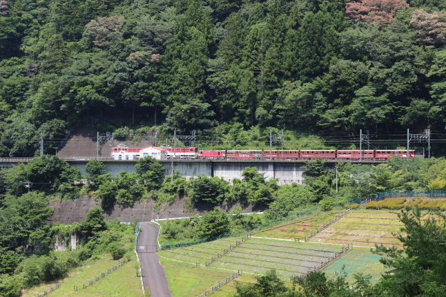 突然決めて出発！大井川を登って自然に触れる_f0354014_14470336.jpg