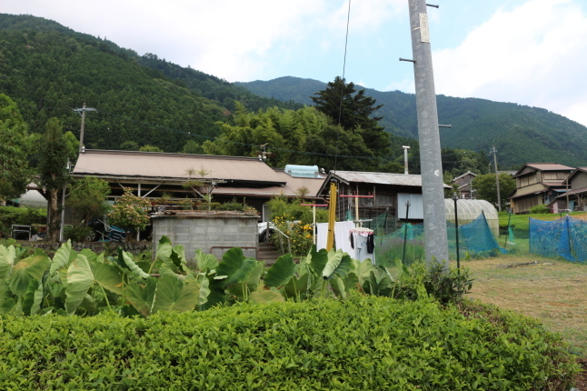 突然決めて出発！大井川を登って自然に触れる_f0354014_15352066.jpg