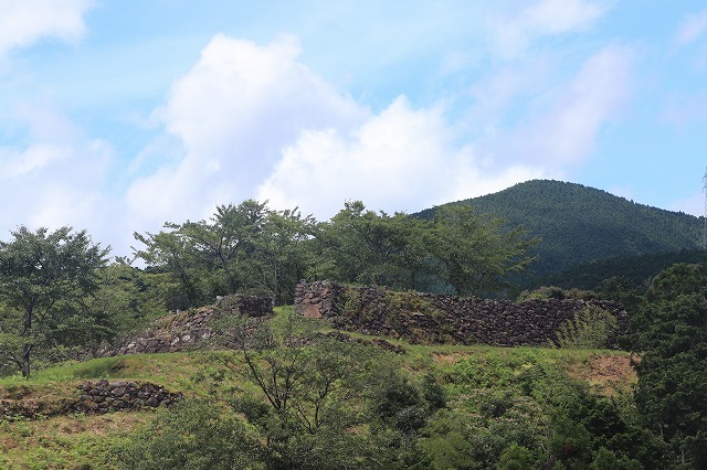 真夏の赤木城跡散策(その2)(撮影:8月10日)_e0321325_11025273.jpg