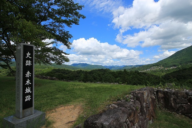 真夏の赤木城跡散策(その3)(撮影:8月10日)_e0321325_11223908.jpg
