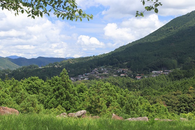 真夏の赤木城跡散策(その3)(撮影:8月10日)_e0321325_11241017.jpg