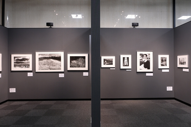 富士フイルムフォトサロン大阪 2つのアクロス展 開催中 8月20日まで_f0050534_10131440.jpg