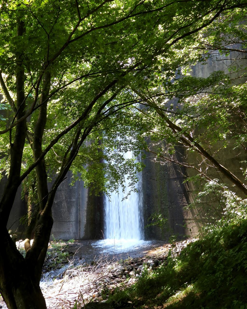 久し振りに船尾滝へ_c0305565_17363412.jpg