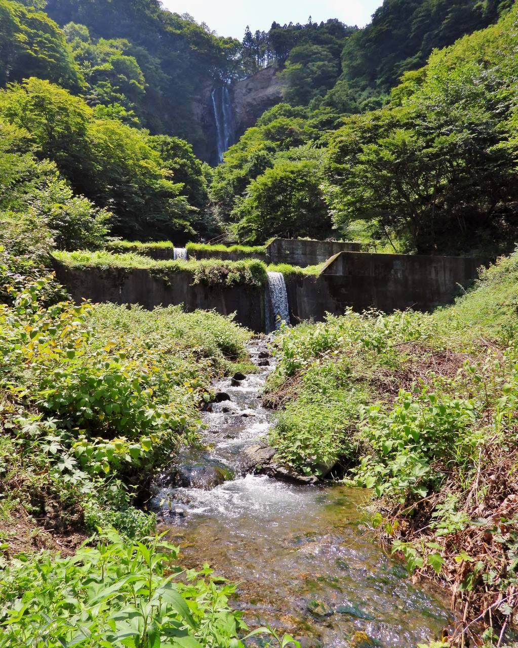 久し振りに船尾滝へ_c0305565_17364714.jpg