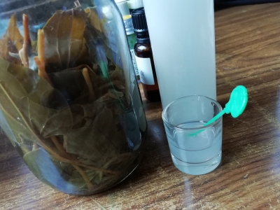 手作り虫除けスプレー ないものを あるもので