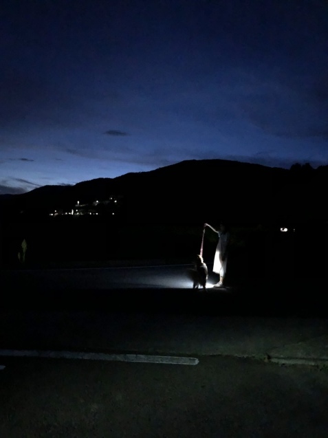 静かな魂の世界。_a0394574_23110679.jpeg