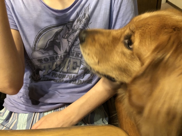 静かな魂の世界。_a0394574_23284923.jpeg
