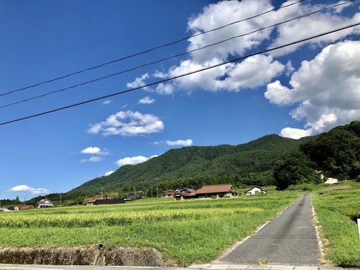 お墓参りの日、自分の気持ちをつづてみました。_a0213806_12215652.jpeg