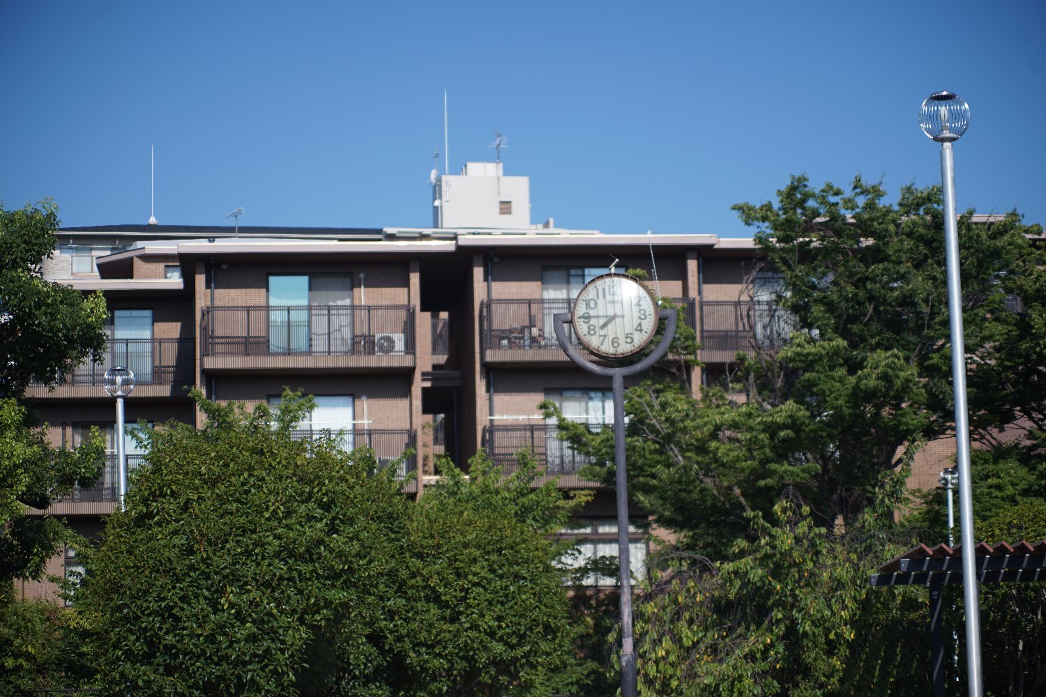 サン System Zoom 85-210mm F4.8 の 話し_b0069128_08435221.jpg