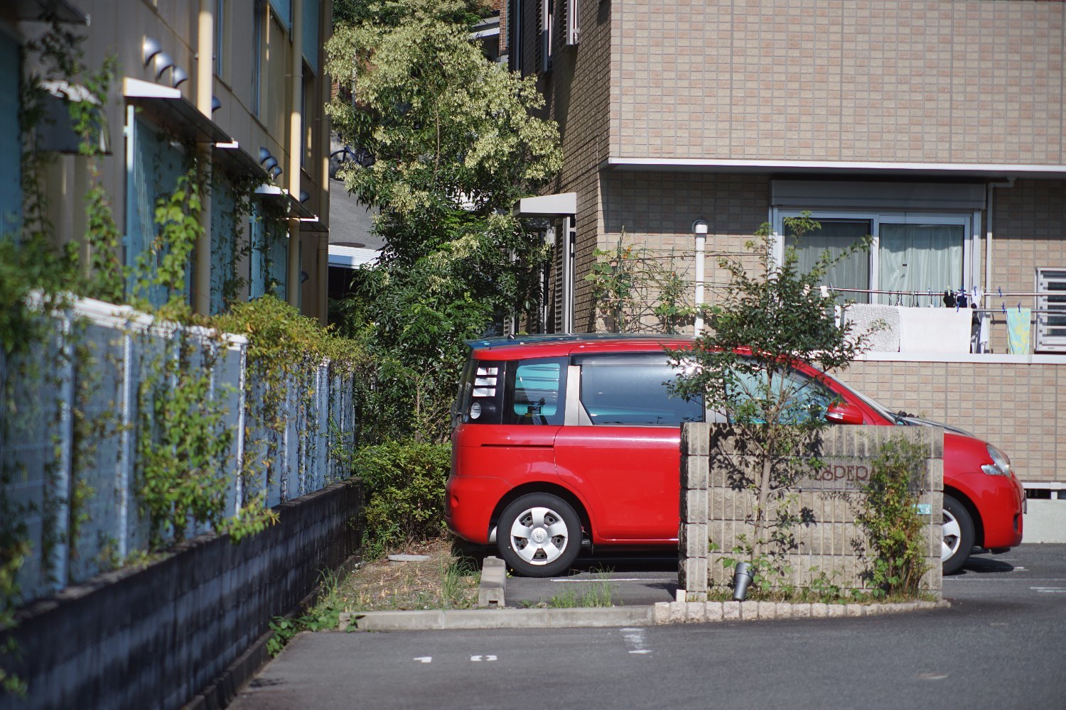 サン System Zoom 85-210mm F4.8 の 話し_b0069128_08442097.jpg