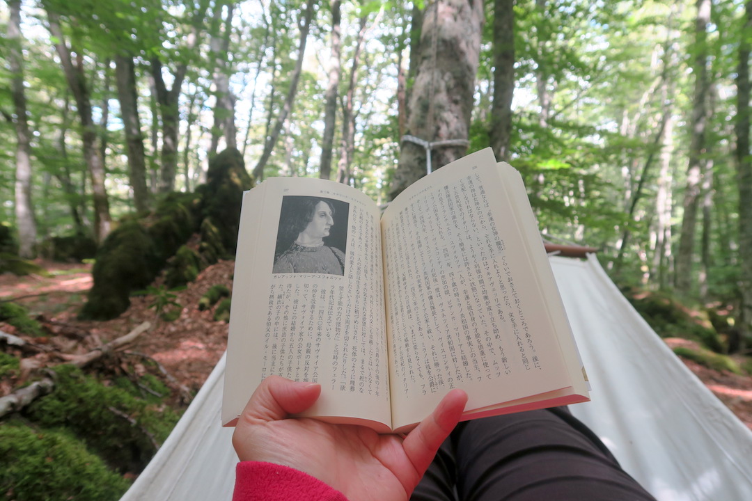 ハンモック森の木陰で涼しく読書、ラヴェルナの森_f0234936_6224410.jpg