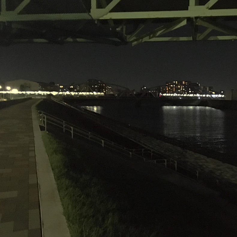 朝昼晩散歩_c0060143_05012483.jpg