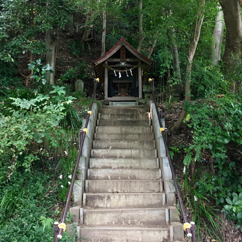 吾妻山から浅間神社へ_c0060143_05024567.jpg