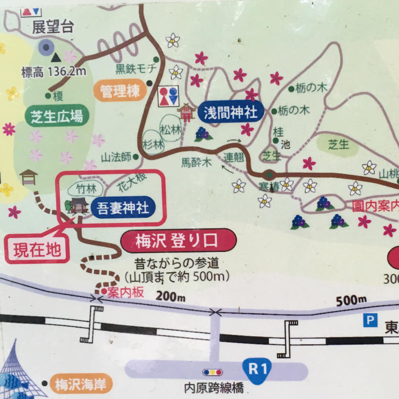 吾妻山から浅間神社へ_c0060143_05032922.jpg