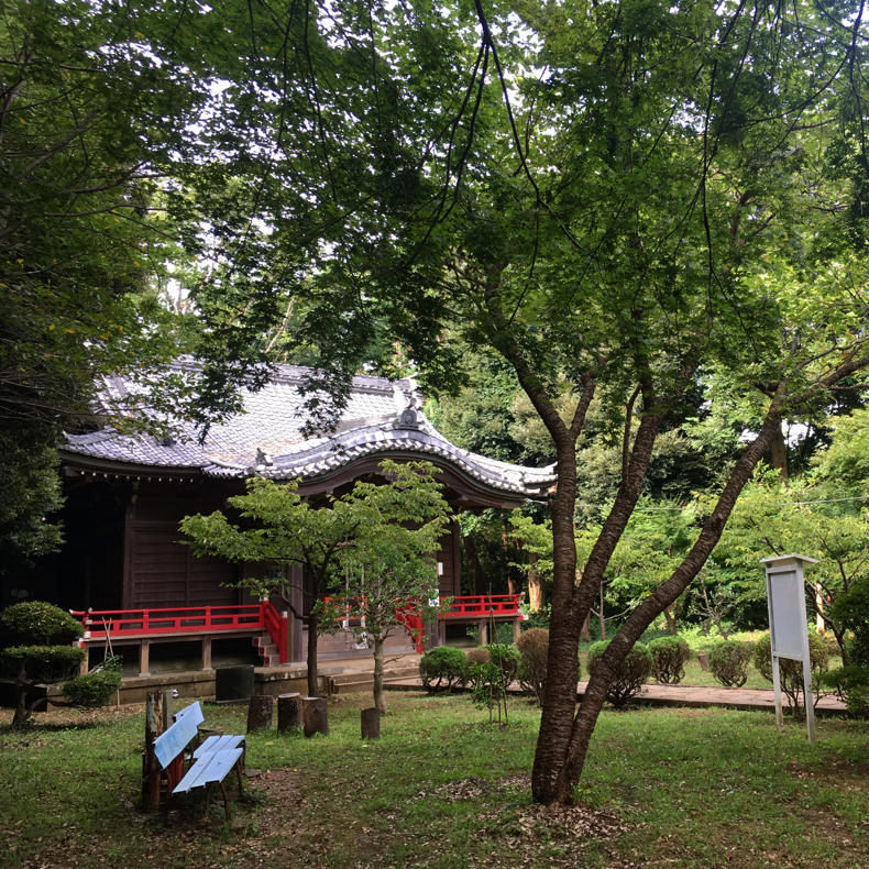 吾妻山から浅間神社へ_c0060143_05033079.jpg