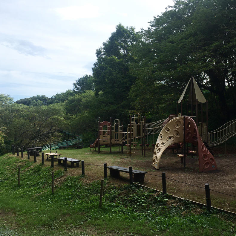 吾妻山から浅間神社へ_c0060143_05041029.jpg