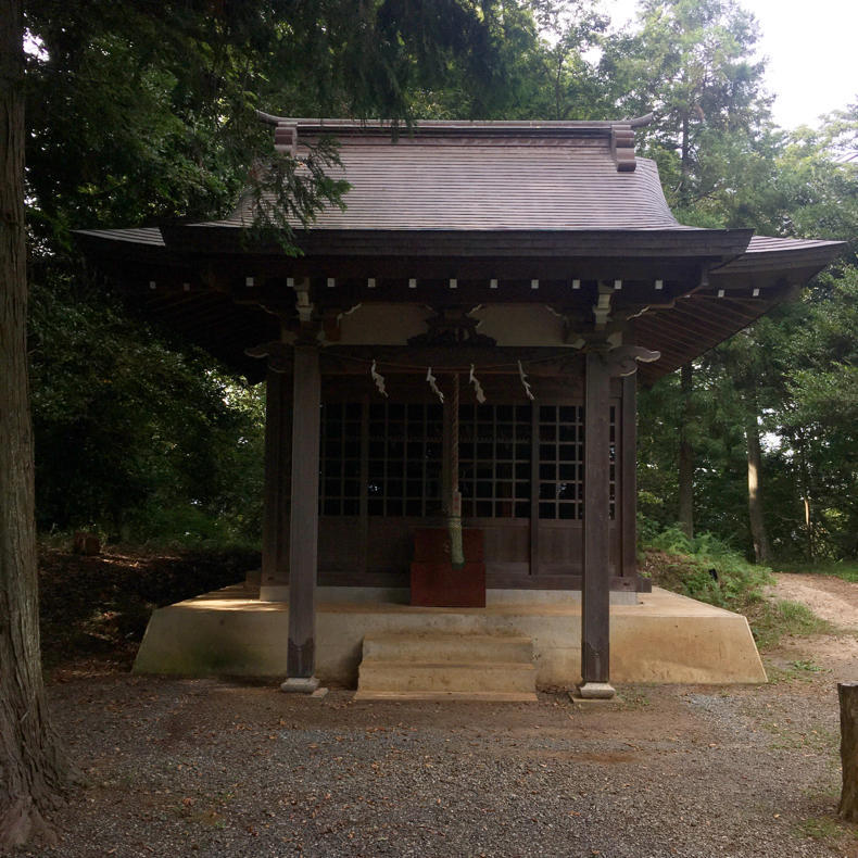 吾妻山から浅間神社へ_c0060143_05041209.jpg