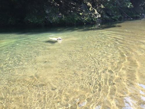 暑いぃぃぃぃ~!_c0331145_18362712.jpg