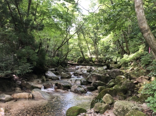 武奈ヶ岳　難関の八淵の滝ルートで攻略！_b0200358_13013281.jpeg