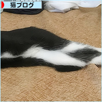 じぶんまくら_a0389088_05300100.jpg