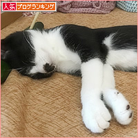 じぶんまくら_a0389088_05300170.jpg