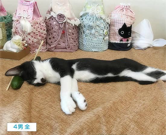 じぶんまくら_a0389088_05300192.jpg