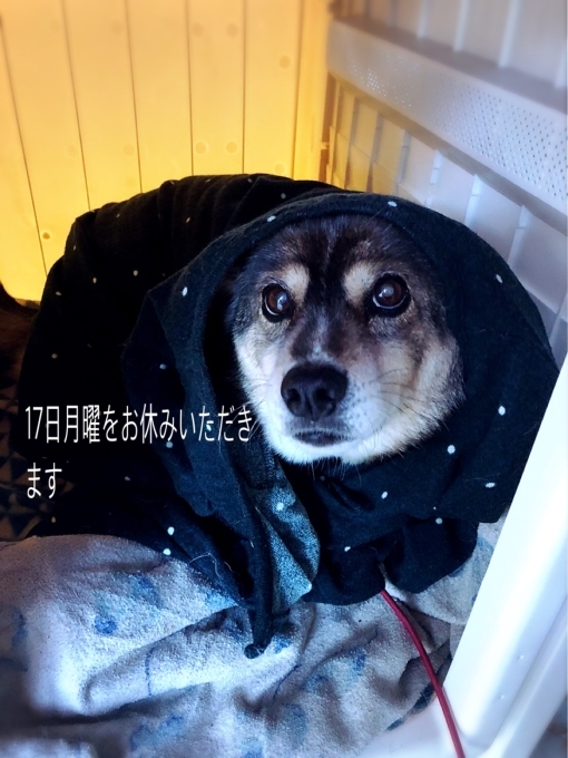 臨時休業のお知らせです^_^_d0132688_16040849.jpg