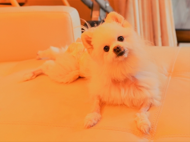 よくないニュース_d0360206_00540299.jpg