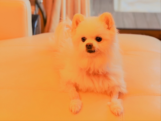 よくないニュース_d0360206_00540965.jpg