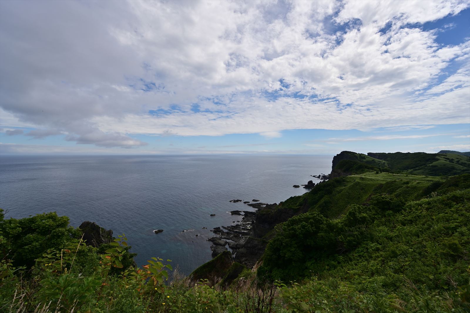 風景画自作キャンバス絵　積丹ブルー　島武意海岸①