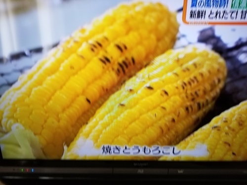 A・R・ストーン先生のことを知ってますか_e0016828_11532192.jpg