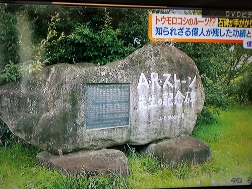 A・R・ストーン先生のことを知ってますか_e0016828_11553800.jpg