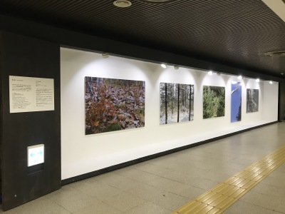 反骨の創造性／500m美術館_e0220436_10482523.jpeg