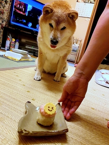 誕生日おめでとう_b0314043_07541904.jpg