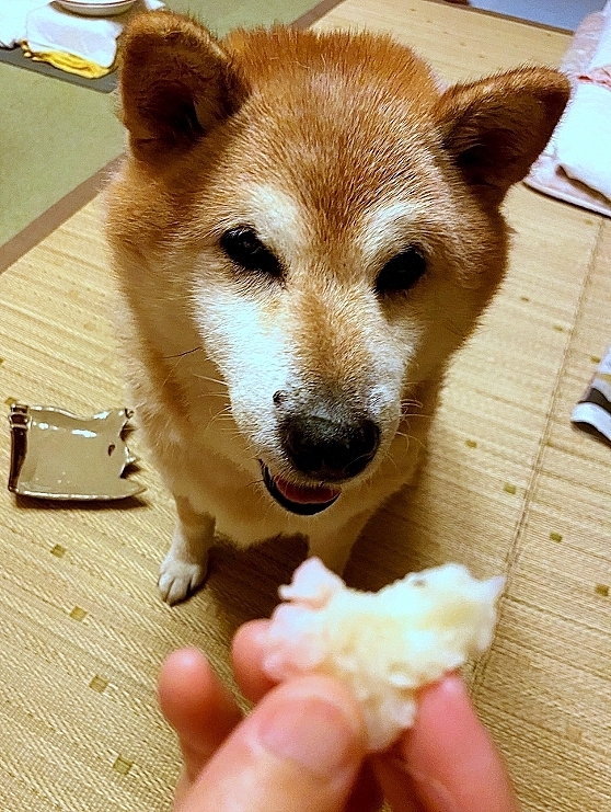 誕生日おめでとう_b0314043_07551916.jpg