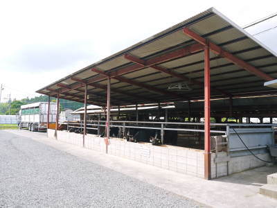 熊本県産の黒毛和牛を100%のハンバーグステーキ!11月17日(水)出荷分残りわずか!ギフト包装も対応します _a0254656_18075196.jpg