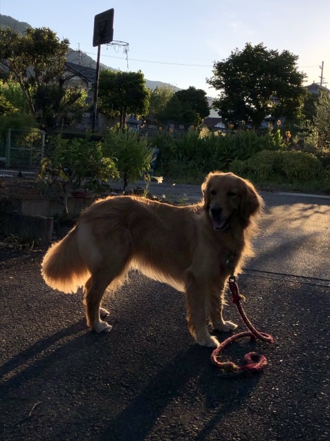 休日。_a0394574_09461682.jpeg